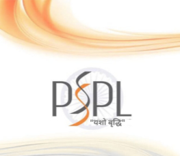 Pinakasri Services Logo